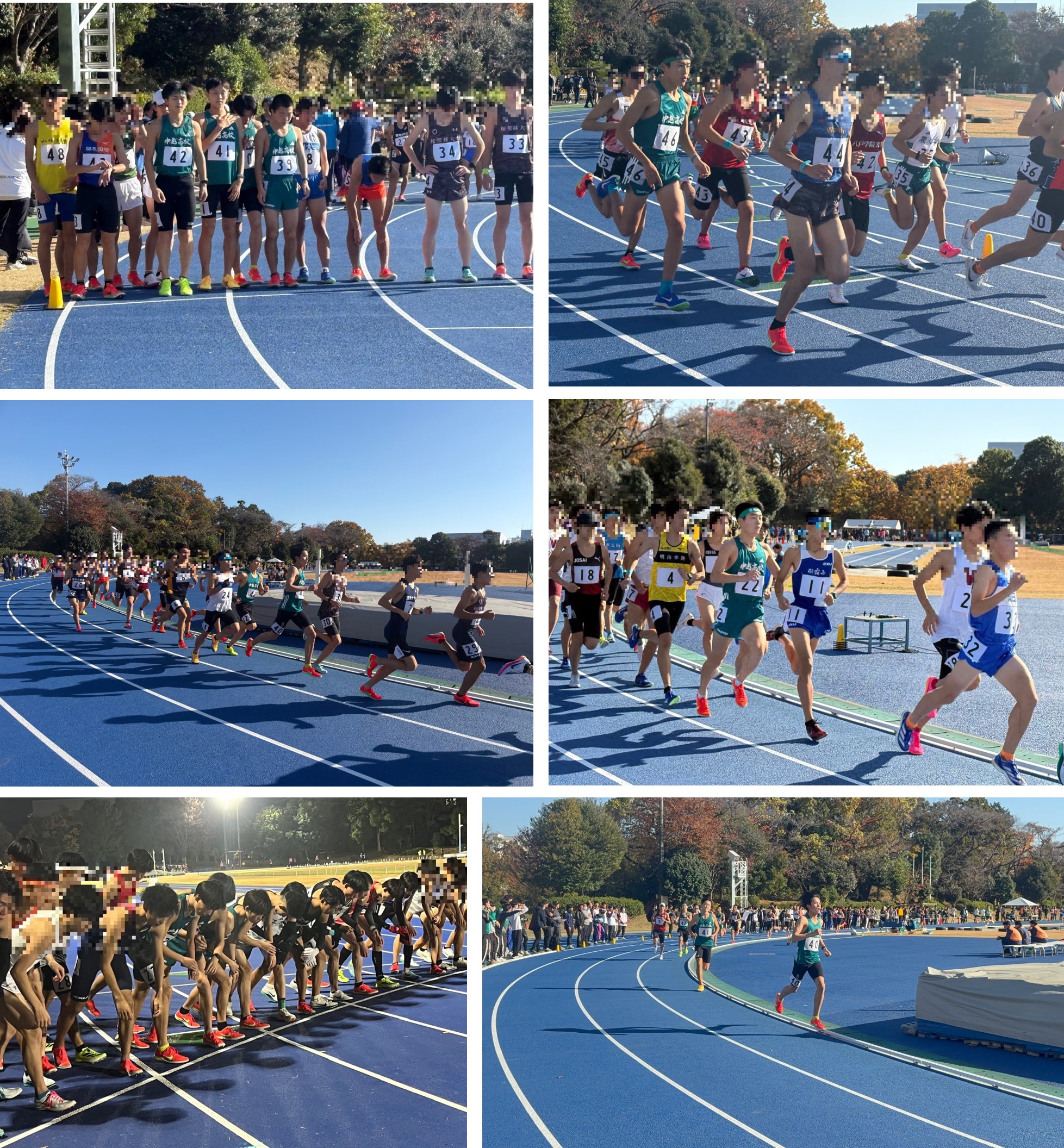 日本体育大学記録会 | 中越高等学校