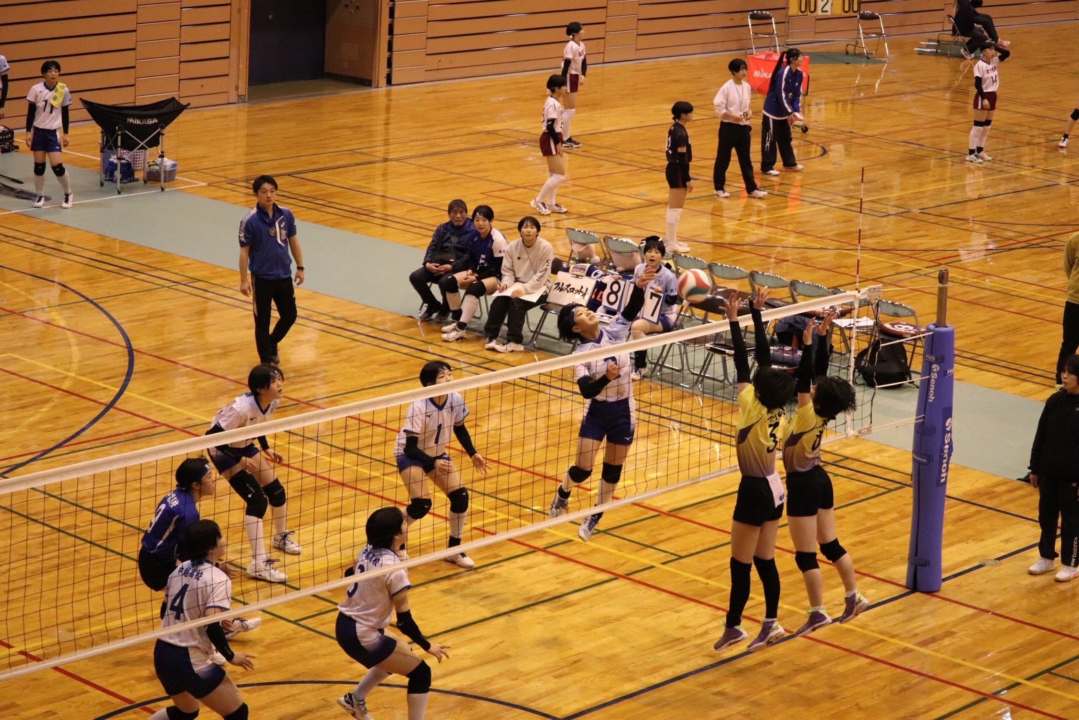 全国私学大会への出場が決定！！女子バレーボール部 | 中越高等学校